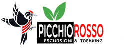 Picchio Rosso Logo